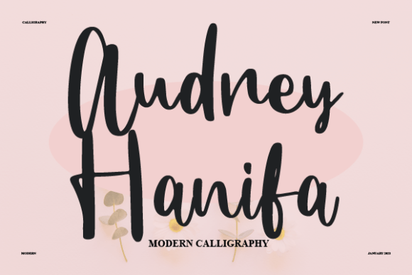 Audrey Hanifa: A Stylish Script Font for Branding