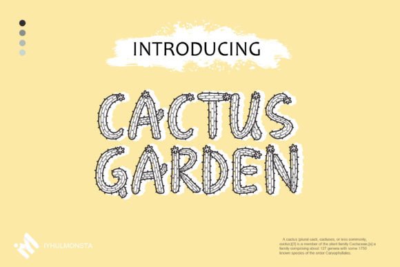 Cactus Garden: A Designer’s Honest Review